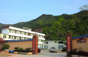 公司介绍